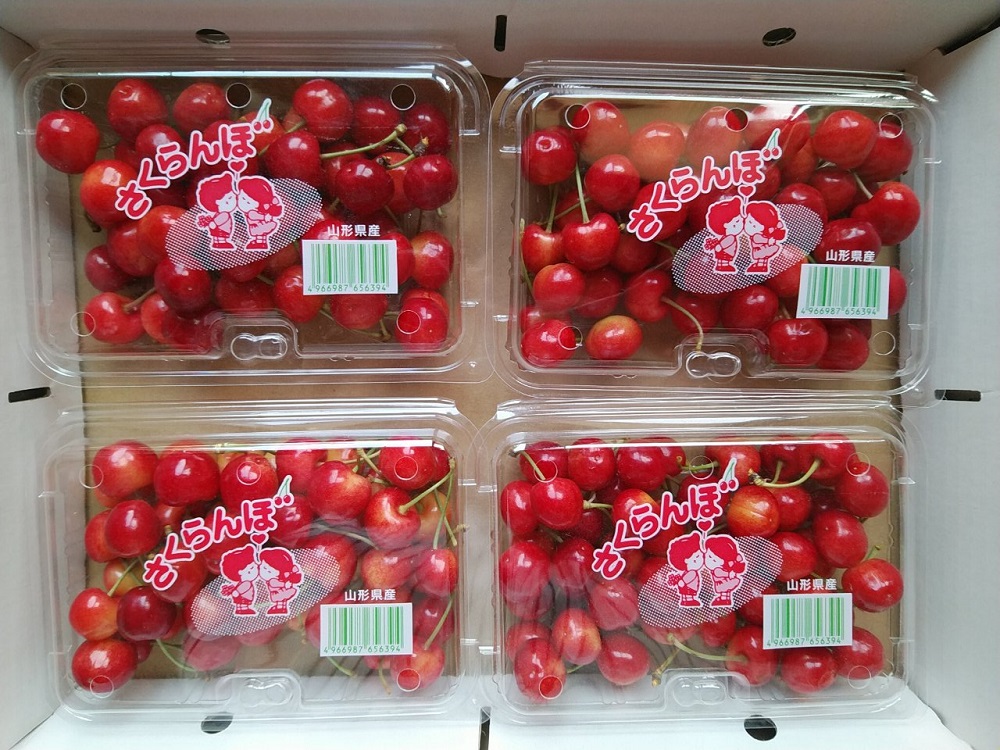佐藤錦800g
