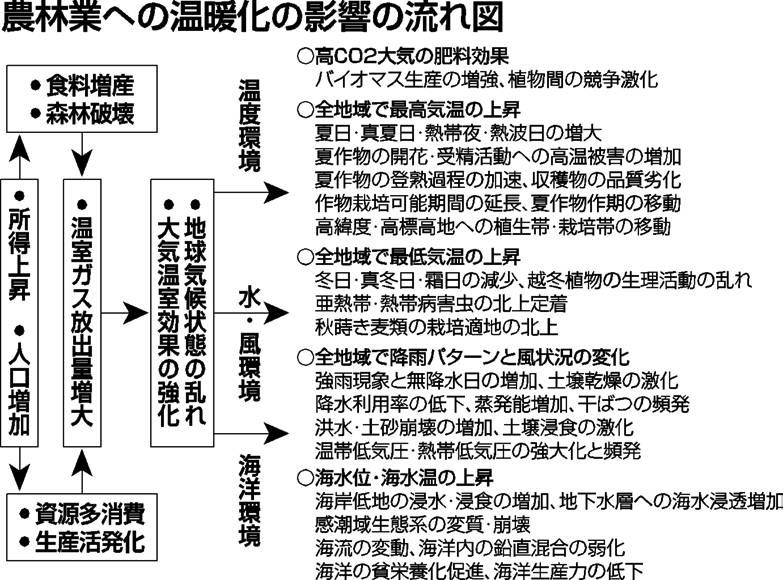 農林業への温暖化の影響の流れ図