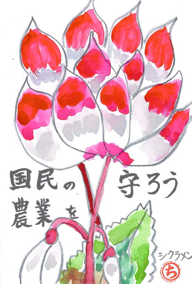 画像